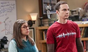 The Big Bang Theory III (13/23)
