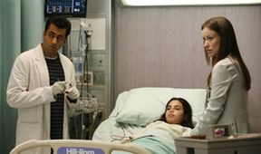 Dr. House III (16/24)