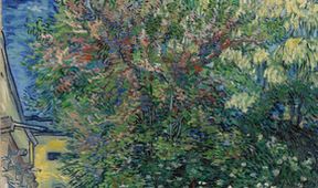 Van Gogh: O obilných polích a oblačném nebi