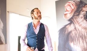 Dom Hemingway