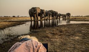 Okavango - řeka snů (4/4)