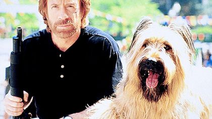 Top Dog