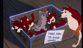 Balto II: Na vlčí stezce
