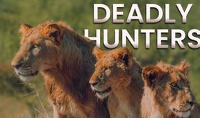 Smrtící lovci (1)