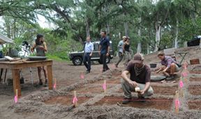 Hawaii Five-O IV (10/22)