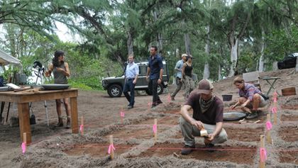 Hawaii Five-O IV (10/22)