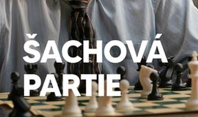 Šachová partie