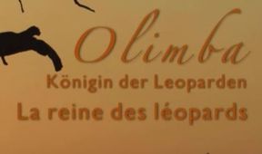 Levhartí královna