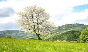 Krajinou domova (6/8)