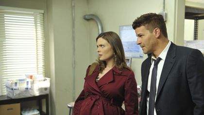 Kosti IV (18/26)