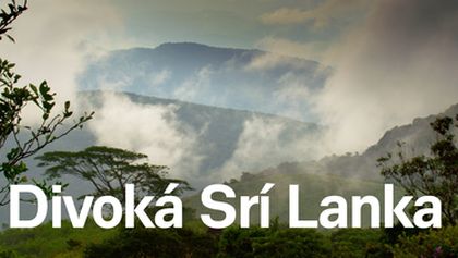 Divoká Srí Lanka (2)