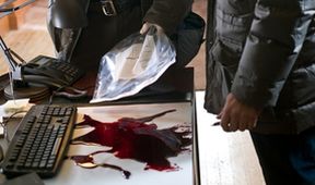 Nora Roberts: Polární žáře