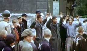 Hitler a holocaust (6/6)