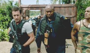 Hawaii Five-O II (13/23)