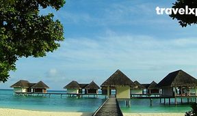 Great World Hotels (5)