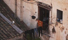 Cosa Nostra (2/2)