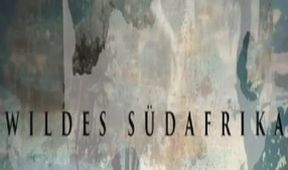 Divoká Jižní Afrika (2)