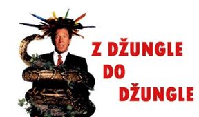 Z džungle do džungle