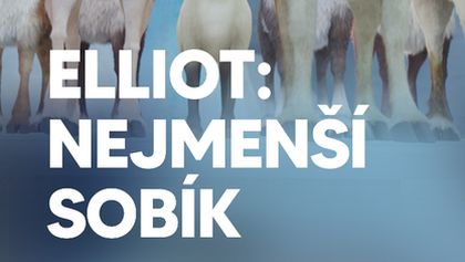 Elliot: Nejmenší sobík