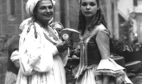 Šípová Růženka