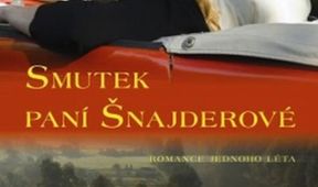 Smutek paní Šnajderové, Kino Art
