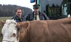 Hubert a Staller: Čichat zespodu k fialkám (1/2)