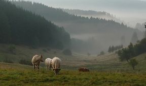 Klenoty naší krajiny: Slavkovský les