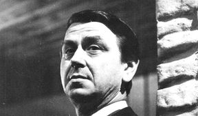 Pštrosí večierok