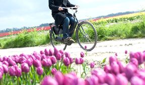 Umění z Holandska a Belgie: Sen o hojnosti