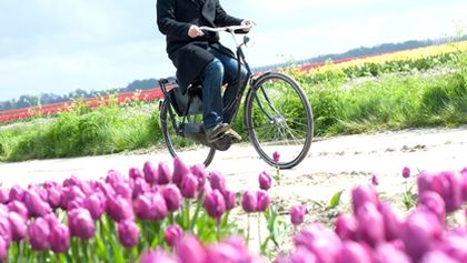 Umění z Holandska a Belgie: Sen o hojnosti