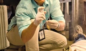 Dexter VIII (2)