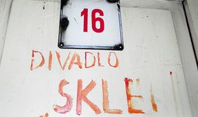 Tajemství Divadla Sklep