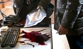 Nora Roberts: Polární záře