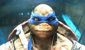 Ninja korytnačky