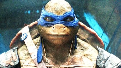 Ninja korytnačky