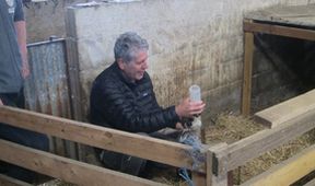 S gurmánem na cestách II: Burgundsko