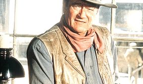 Rio Lobo