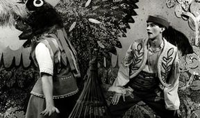 Nebojsa