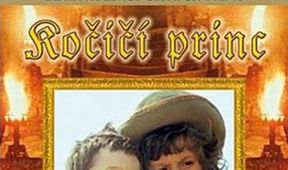 Kočičí princ