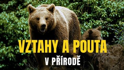 Vztahy a pouta v přírodě