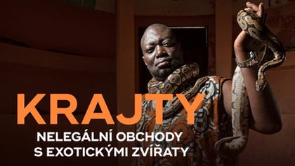 Krajty, nelegální obchody s exotickými zvířaty, Dokumentární klub