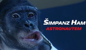 Šimpanz Ham astronautem