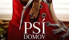 Psí domov