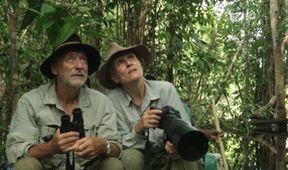 Uakari, Humboldtova ztracená opice