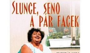 Slunce, seno a pár facek