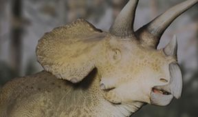 Dinosauři se Stephenem Fryem (4)