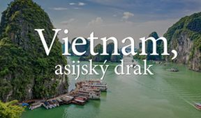 Vietnam, asijský drak