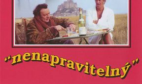 Nenapravitelný