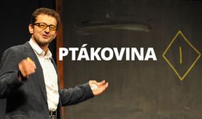 Ptákovina
