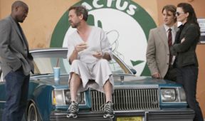 Dr. House V (12/24)